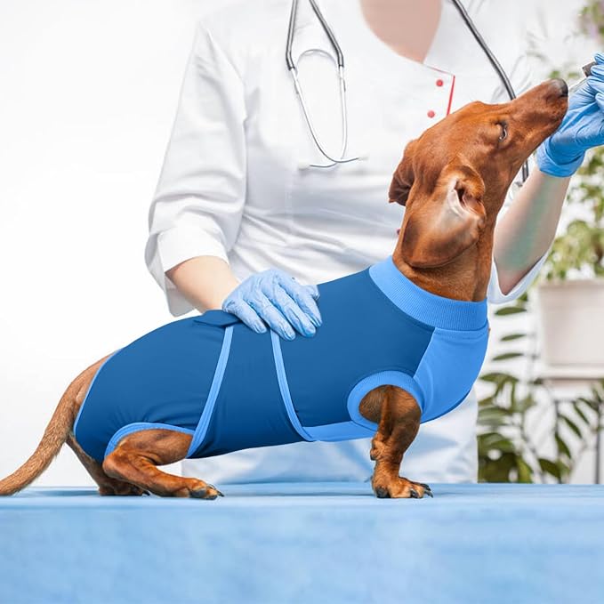 Kuoser Dog Recovery Suit, Female/Male Post-Surgery Anti-Licking Pet Surgical Suit, Blue, Medium, Cotton and Spandex Blend, All Breed Sizes, Adult, All Seasons
