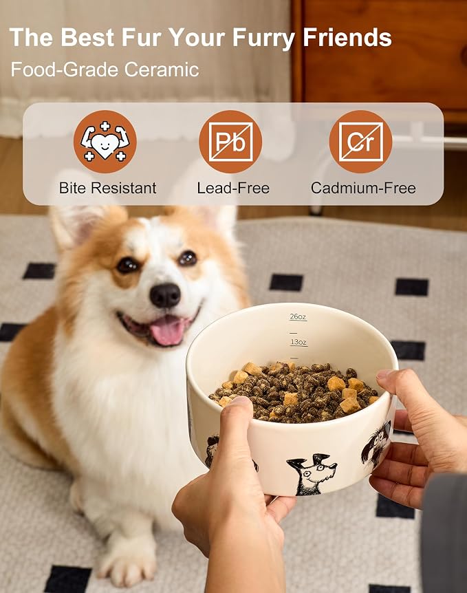 Ceramic Cute Dog Bowl Set of 2 for Small Medium Dogs, Heavy Non-Slip Stoneware Food and Water Bowls – 3.3 Cups, Microwave & Dishwasher Safe, Pet Feeding Set