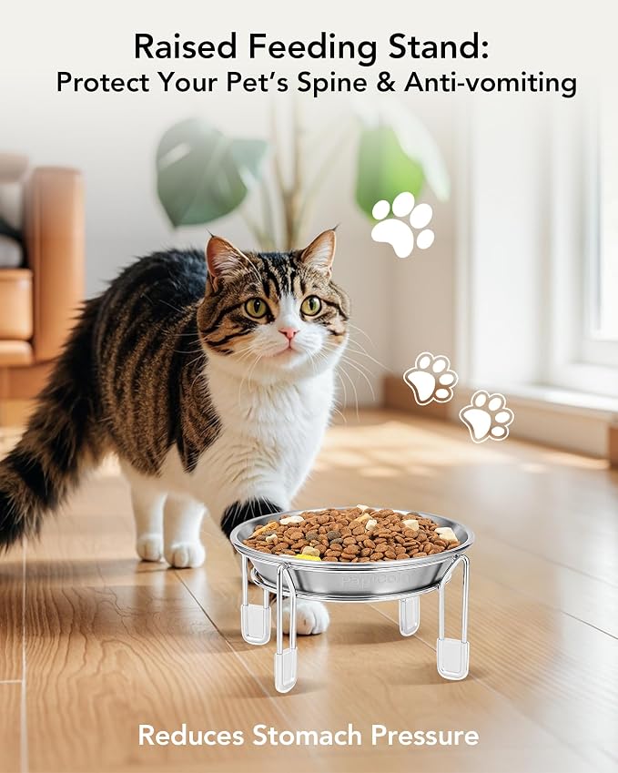 Elevated cat Bowl, 6.3" Wide Raised Stainless Steel Cat Food and Water Dishes, Small Dog Bowl, Whisker Friendly, Anti-Vomiting, Neck Stress-Free, Non-Slip Stainless Steel Stand with 4 Legs- 4Pack