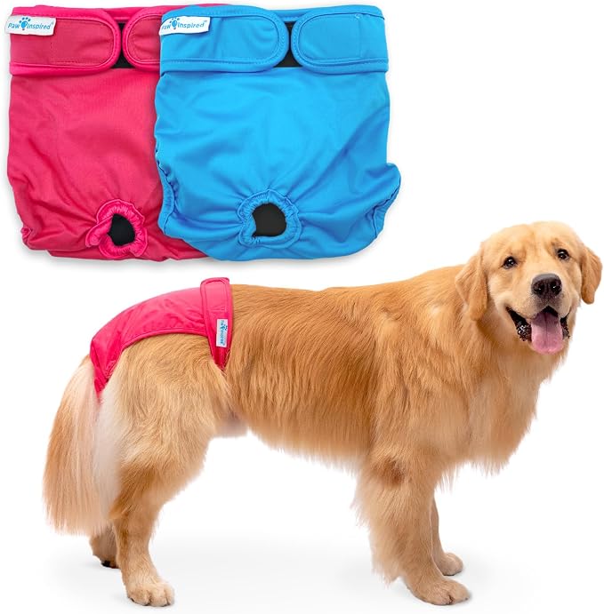 Paw Inspired Washable Dog Diapers (2 Pack) | Reusable Cloth Doggy Diapers for Female Small, Medium, Large Size Dogs (Pink and Blue Colors with Black Lining, Size XL)