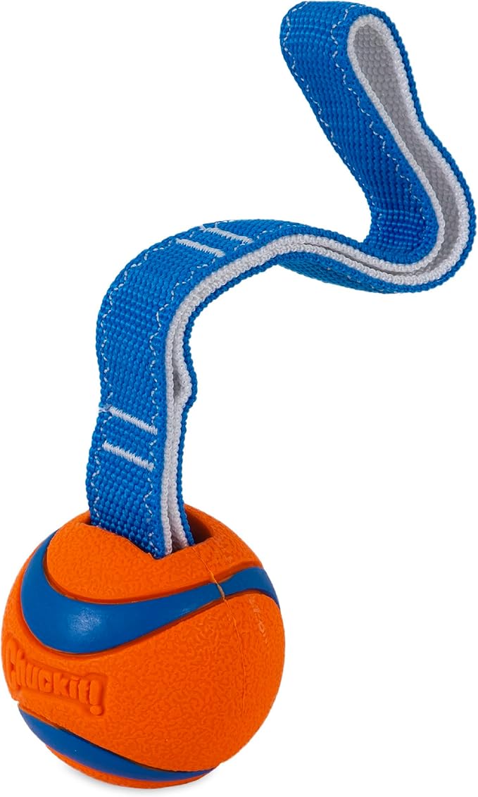 Chuckit! Ultra Tug Dog Toy (Medium) Flying Squirrel Fetch Dog Toy (Medium)