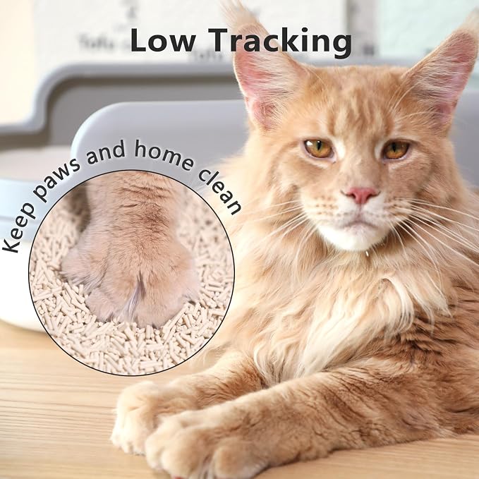 Tofu Cat Litter - Strong Clumping, Ultra Absorbent, Odor Control, Flushable, Low Tracking, Low Dust Tofu Litter Pellets - 4 Packs/24LB (Original Flavor)