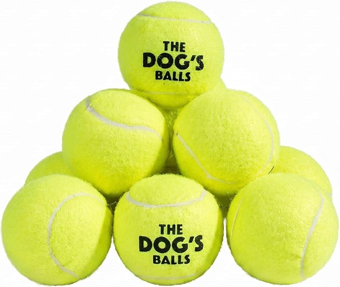 The Dog's Balls Dog Tennis Balls Tough 2.5" 12-Pack Yellow Floats in Water | Our fetch balls combine non-abrasive felt exterior and a thicker rubber core Durable Dog Toy for Outdoor Play & Training