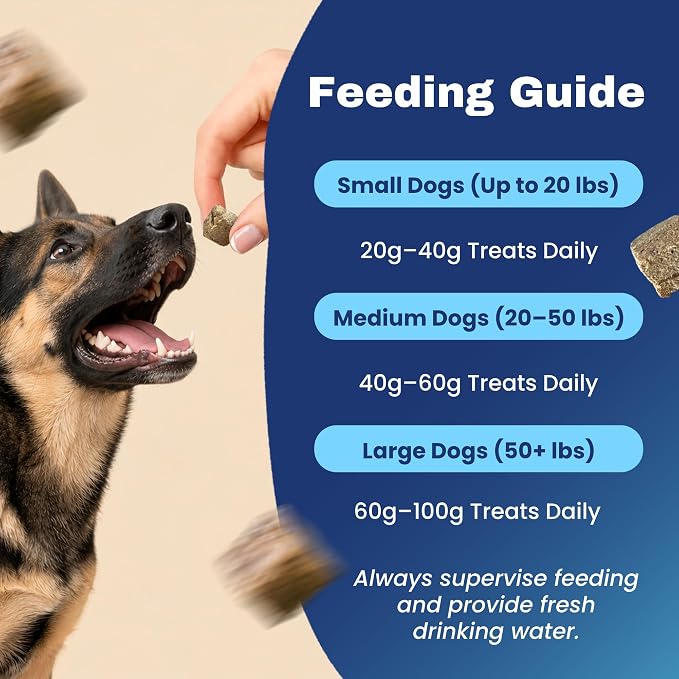 MVPChews | Freeze Dried Beef Liver Dog Treats | Single Ingredient Training Treats | High Protein, Grain Free, No Additives or Fillers | Premium Quality Food Topper | Made in USA - 3.5oz (Pack of 4)