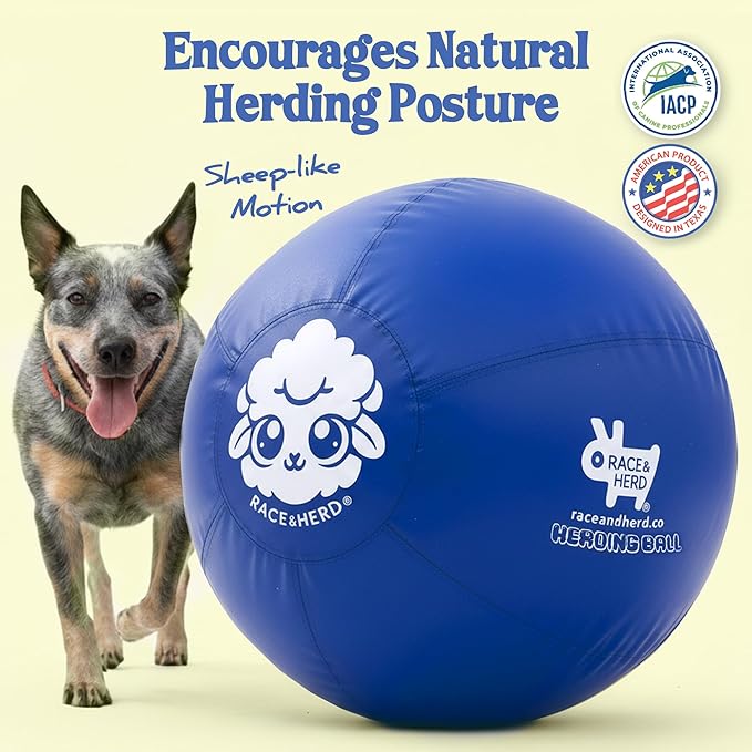Race&Herd 25" Original XXL Best Herding Ball for Dogs Large - Herding Toys, Durable Outdoor Big Dog Herding Ball for Australian Shepherd, Corgis, Border Collie Ball - Medium to Large Breeds (Ocean)