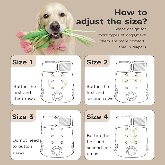 Paw Legend Washable Reusable Female Dog Period Diapers for Heat Doggie Puppy Diapers for Female Dogs (3 Pack, X-Large)