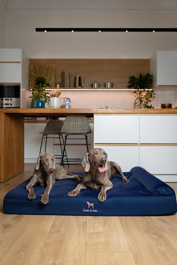 NOAH & PAW Giant Dog Bed XXL 55x45x9.5 Inch, Orthopedic Dog Beds, Eggshell Memory Foam Infused with Cooling Gel, Water Resistant, Machine Washable, Includes Inner Cover (Denim Collection)