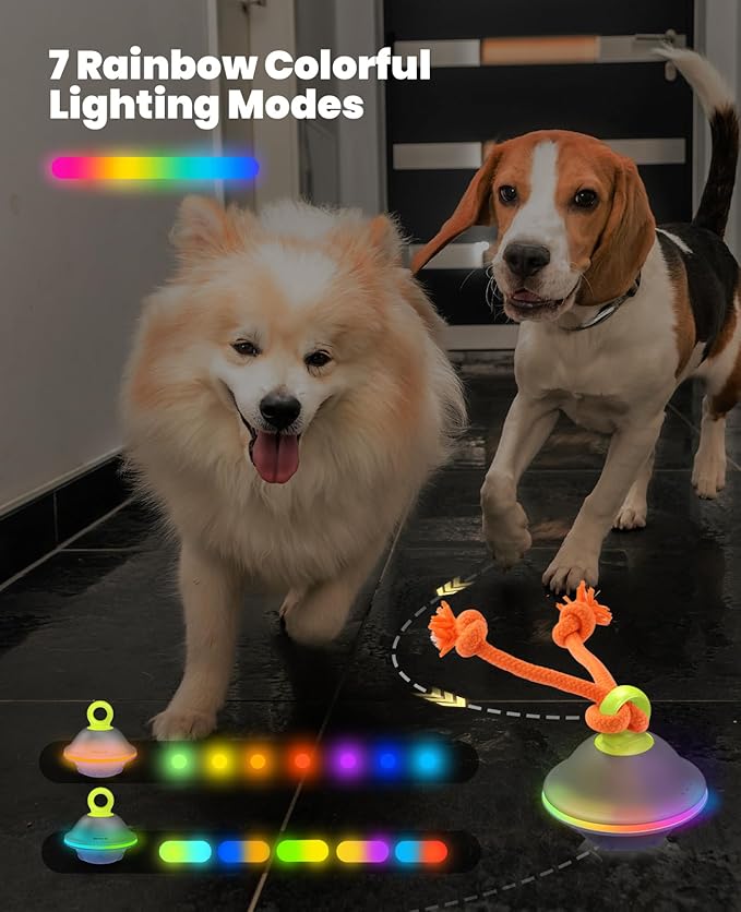 Xeuch Interactive Dog Toys, Automatic Moving and Rolling Dogs Ball with Rope, Motion-Activated Wicked Ball with Voice Recording for Small Medium Pup, Stimulation Toy for Boredom Relief