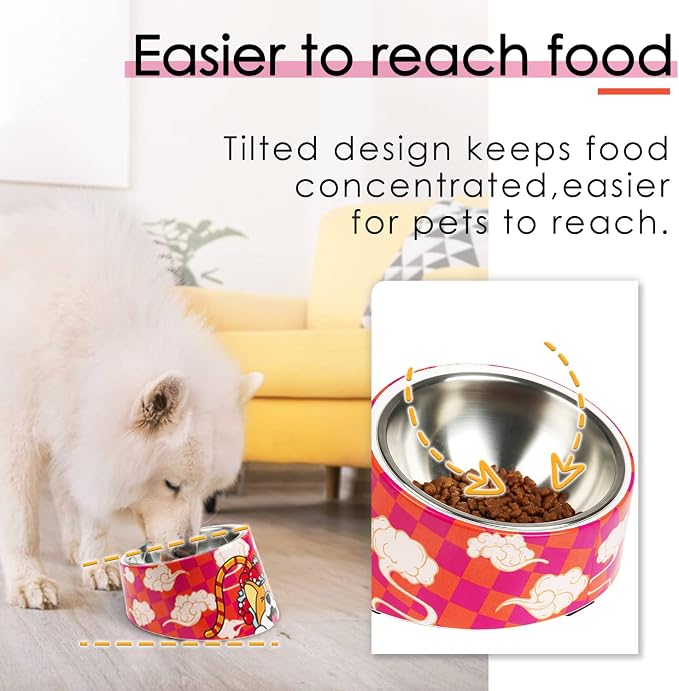 Super Design Mess Free 15° Slanted Bowl for Dogs and Cats, Tilted Angle Bulldog Bowl Pet Feeder, Non-Skid & Non-Spill, Easier to Reach Food