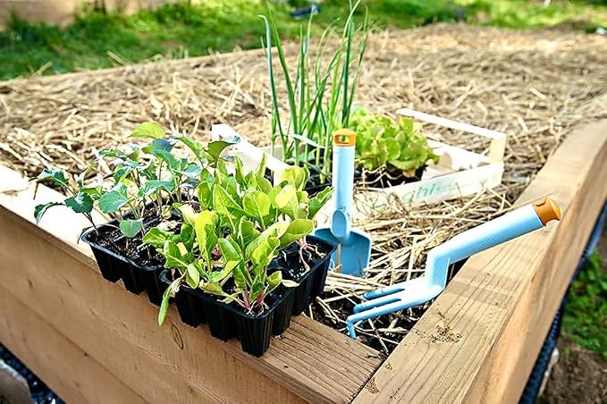 Blue Mountain Hay Organic Garden Straw (10 lb) - Natural Mulch for Gardening, Flower Beds & Landscaping, New Lawn Grass Seeding, Compost, Raised Garden Bed, Cat Grass & Grass Seed