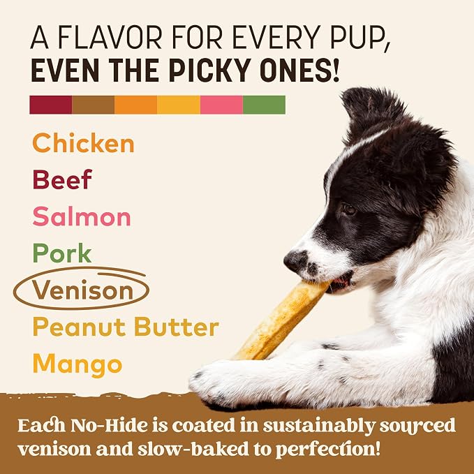 Earth Animal No Hide Chews - Long Lasting Rawhide Free Medium Dog Chews Rolls, Venison - 6 Count