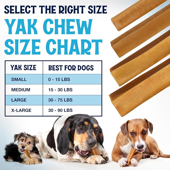 Himalayan Yak Cheese Chews - Natural Dog Bones - Yak Cheese Himalayan Dog Chews – Long Lasting Himalayan Dog Cheese Chew - Yak Chews for Large, Medium and Small Dogs (Large, 3lb Bag)