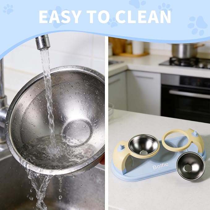 Elevated Stainless Steel Pet Bowls for Cats, 2-in-1 Food and Water Feeder with Non-Slip Base, with Spill-Proof Mat for Small Pets