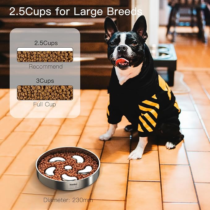 Slow Feeder Bowl + Food Mat Set