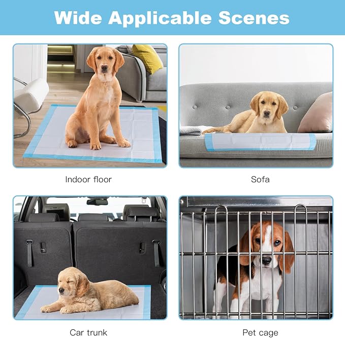 PETSITE Dog Pee Pads 30"x30"-150 Count, Dog and Puppy Potty Training Pads Super Absorbent & Leak-Proof, XL Disposable Pet Piddle Pad and Potty Pads for Dogs, Puppies, Doggie