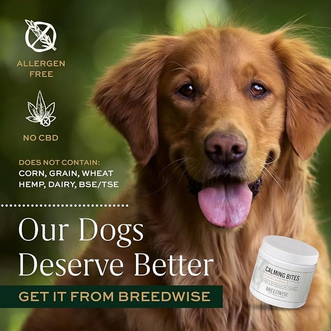 Breedwise Dog Calming Treats - Advanced Stress and Anxiety Relief Soft Chews with L-Theanine & Valerian Root - Non-Drowsy Formula for Storms, Separation & Travel - Hickory Bacon Flavor - 60 Count