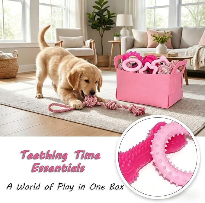 Puppy Toys Set - 20 Pack Pink Dog Chew Toys for Teething Small Breeds - Tough Rope Toys for Puppies, Cute Soft Rubber Toys Bundle with Basket for Girl Pets