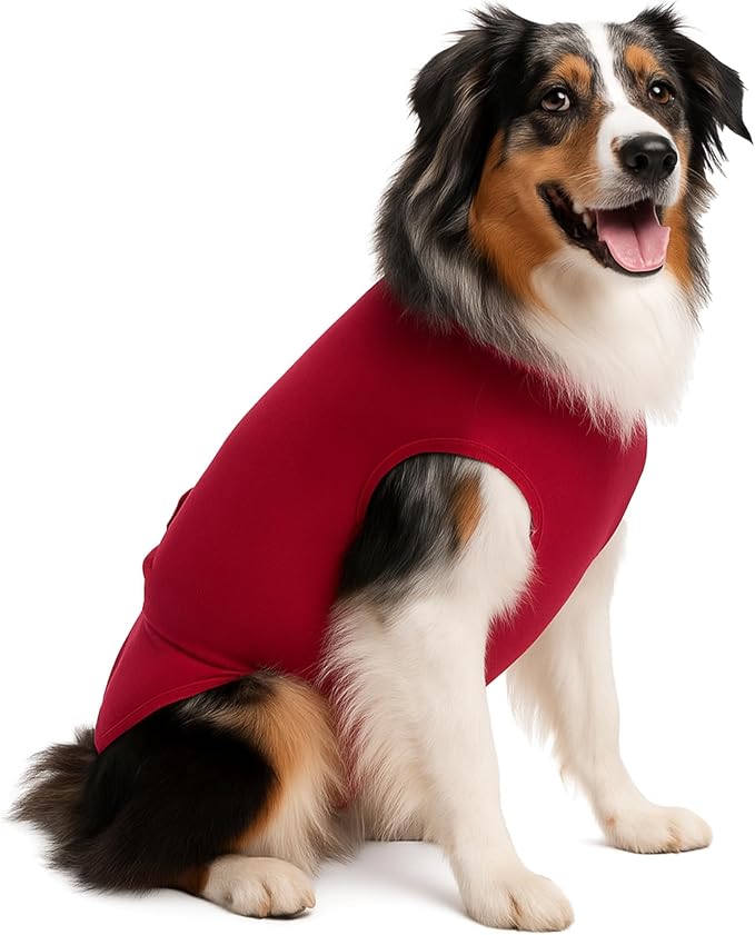 Dog Suspenders for Diapers Female OR Male Disposable Dogggie Diapers Keeper It's A Dog Diaper Holder- Wrap Around Legs for Superior Fit - Fits (XL - RED)