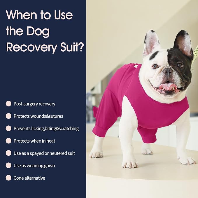 IECOii Dog Recovery Suit - Soft Surgical Onesie for Post-Surgery Dogs, Protects Abdominal & Rear Leg Wounds, Stops Licking, L-Rosered