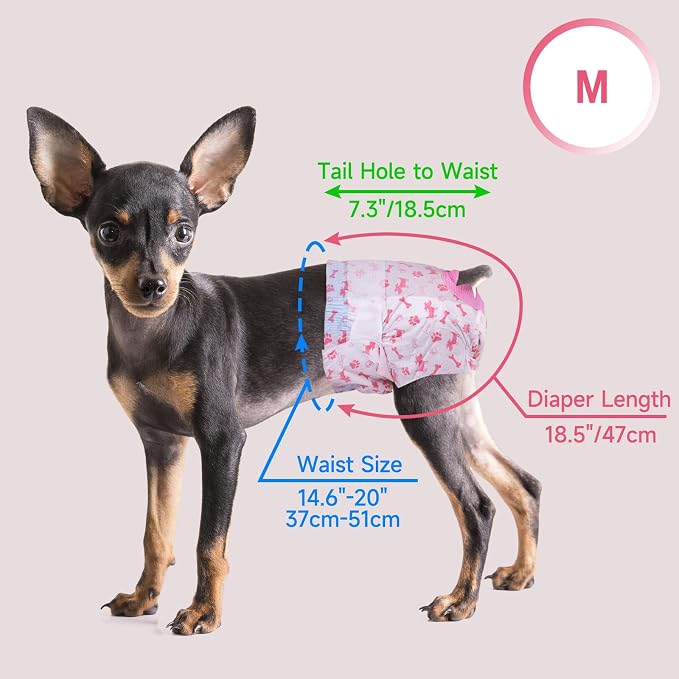 Pet Soft Disposable Dog Diapers - Female Dog Diapers with Adjustable Foam Tail Hole, Ultra Protection Puppy & Cat Diapers Wetness Indicator for Dogs in Heat or Incontinence, 40pcs (M,Red)