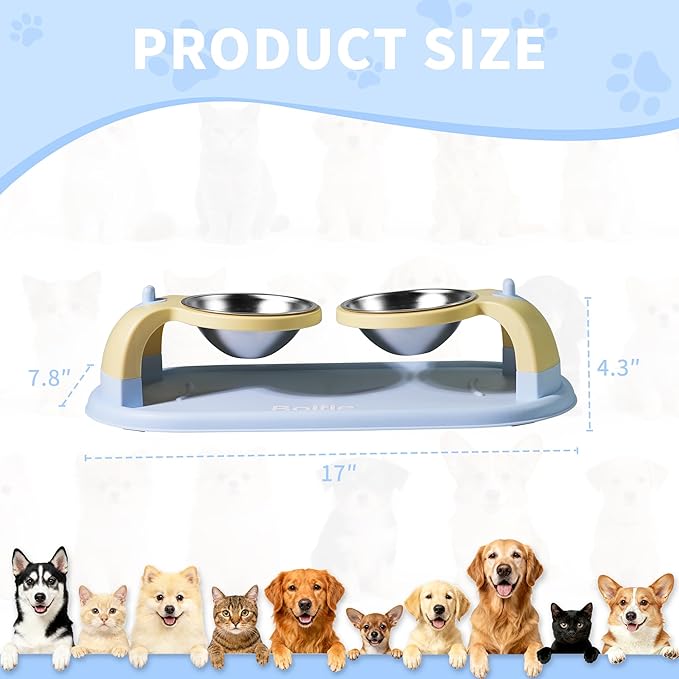 Elevated Stainless Steel Pet Bowls for Cats, 2-in-1 Food and Water Feeder with Non-Slip Base, with Spill-Proof Mat for Small Pets