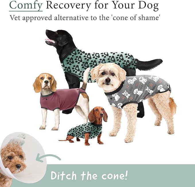 BellyGuard Dog Surgery Recovery Suit, Post-Op Dog Recovery Suit for Female Spay & Male Neuter, Comfy Onesie for Pets, Surgical Body Cover for Canine Healing Support