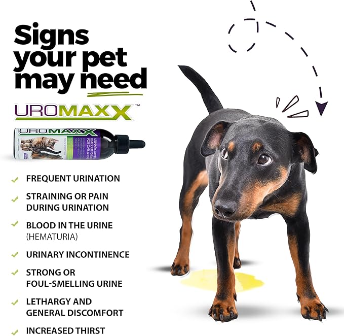 UroMAXX Urinary Tract, UTI, Kidney & Bladder Formula for Cats and Dogs, 6 oz Bottle, (2 Pack)
