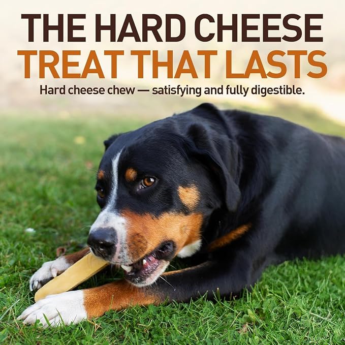 Wildfang® Yak Chews, X-Small for Dogs Under 22 lbs – Dog Dental Chew Stick, Hardness Like Himalayan Yak Cheese, Churpi-Style Cheese Sticks, Dog Treats & Puppy Training Treats, Approx 1 oz, Pack of 1