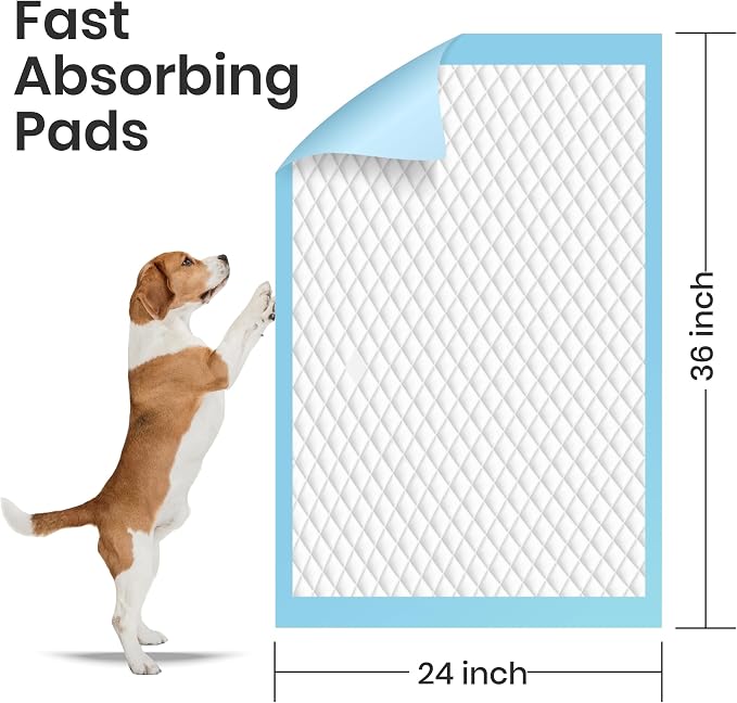 FPN Puppy Pads for Dogs 25 Count 24x36 Inch | Extra Large Disposable Pee Pads for Dogs & Puppies | Dog Training Pads for Potty Training, Pet Training Pads, Dog Pads XL