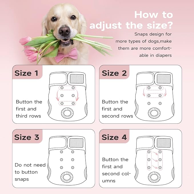 Paw Legend Washable Reusable Female Dog Period Diapers for Heat Doggie Puppy Diapers for Female Dogs (3 Pack,X-Large)