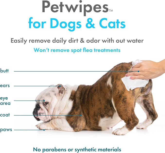 Petkin Plant-Based PetWipes, 200 Wipes, 6 Count - Biobased, Sustainable, Big & Thick Pet Wipes for Dogs & Cats - for Face, Paws, Ears, Body & Eye Area - Consciously Cleans & Conditions - Vanilla