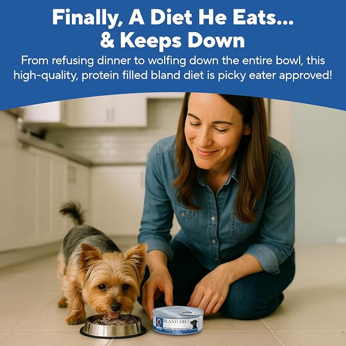 Dave's Pet Food Bland Diet Dog Food (Chicken & Rice), Upset Stomachs, Easy to Digest Pate, Gluten & Wheat Free, Complete & Balanced Meal or Topper, Limited Ingredient, 5.5 oz (Case of 24)
