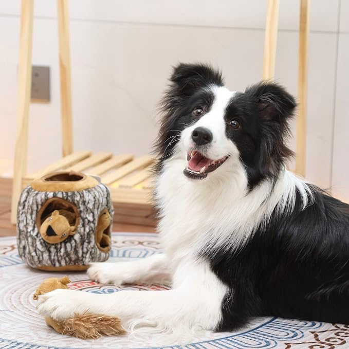 Laifug Hidden Squirrel Plush Dog Toy， Interactive Squeaky Dog Toy Hide and Seek, L