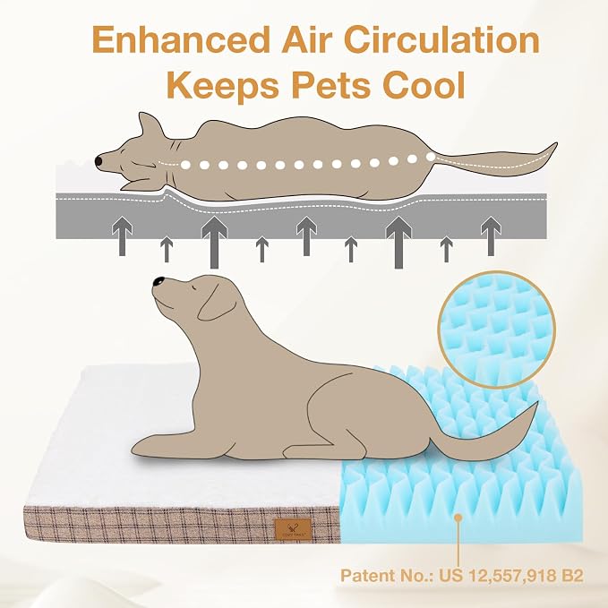 Orthopedic Dog Bed for Large Sized Dogs with Removable Washable Cover, Premium Comfort for Dogs, Multiple Sizes & Colors,Durable and Easy to Clean (Tan, Small)