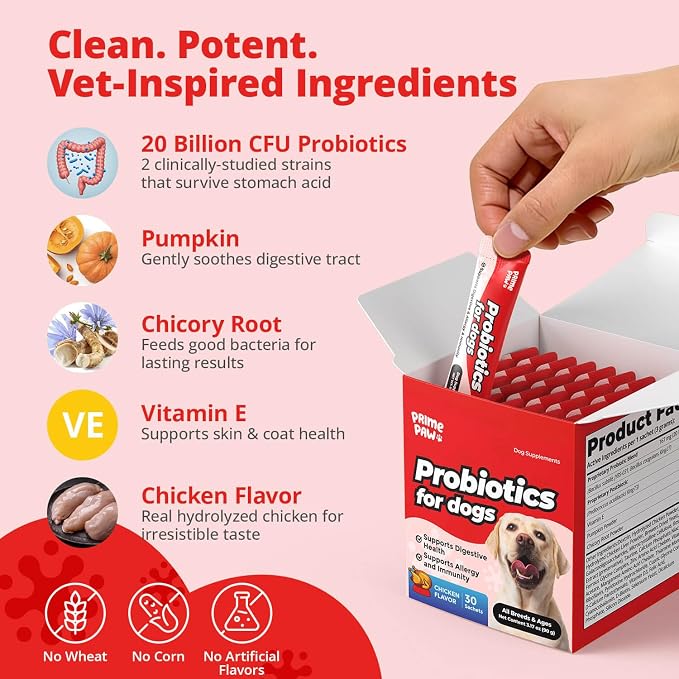 Probiotics for Dogs Digestive Health, 20 Billion CFU Dog Probiotic with Digestive Enzymes & Pumpkin Powder, Soft Powder, 30 Sachets