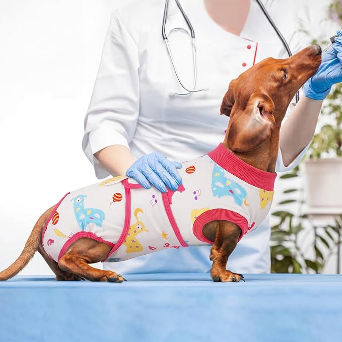 Kuoser Dog Surgery Recovery Suit, Pet Recovery Suit for Dogs Female Male Spay Neuter, Anti-Licking Dog Surgical Onesie for Abdominal Wounds Skin Issues, Dogs Bodysuit Cone E-Collar Alternative, L