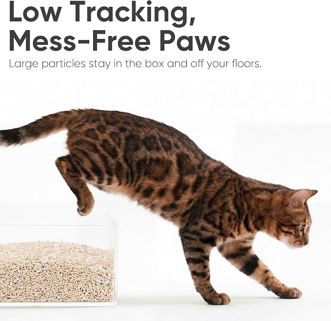 FUKUMARU Tofu Cat Litter, Super Ultra Absorbent, 18 LBS Clumping Cat Litter, Flushable, Natural, Lightweight, Dust Free, Quick Clumping, Low Tracking, Odor Control (6lb x 3 Packs)