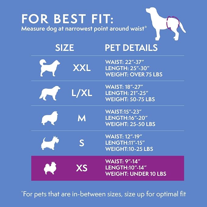 Simple Solution Disposable Dog Diapers for Female Dogs, Leak Proof Diaper for Dogs, Potty Training, XS Puppy Training, Incontinence, Diaper for Peeing, For Small Pets, 9-14 Inch Waist, (XS, 12 Count)