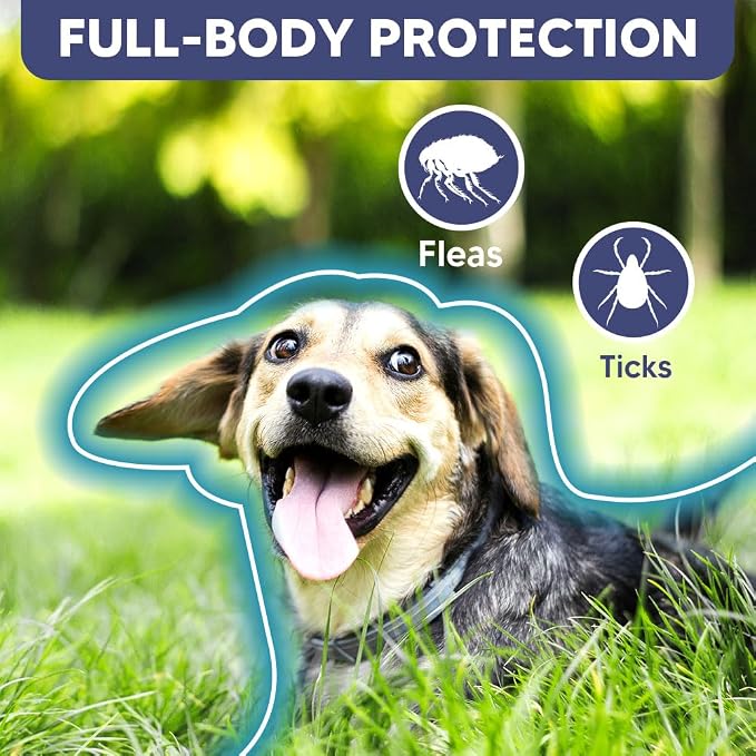 fcesiweg Flea Collars for Dogs Large, Tick Collar for Dogs, Flea Dog Collar, Adjustable for Medium & Big Breeds,Gentle and Safe for Daily Use, 8 Months Protection-2P