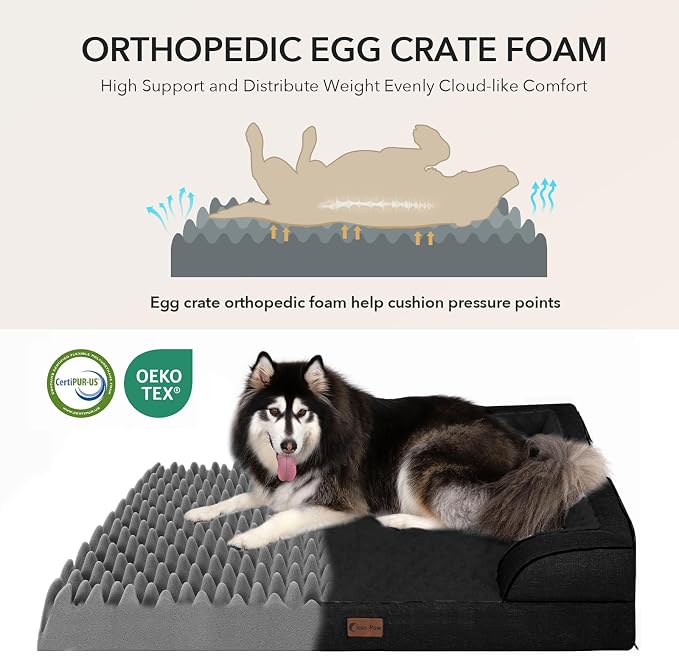 Orthopedic Dog Beds for Large Medium Sized Dogs 36x27 Inch, Medium Waterproof Memory Foam Dog Sofa Bed with Removable Washable Cover Pet Couch with Bolster, Black