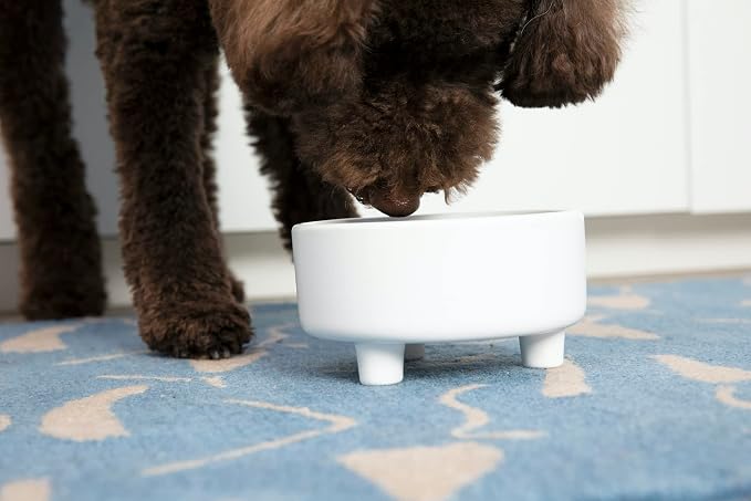 Waggo Uplift Ceramic Dog Bowl for Small Medium and Large Breeds - Heavyweight and Durable Pet Food and Water Dish Crock, Dishwasher Safe, Modern, Elevated Feeder (Medium, White)