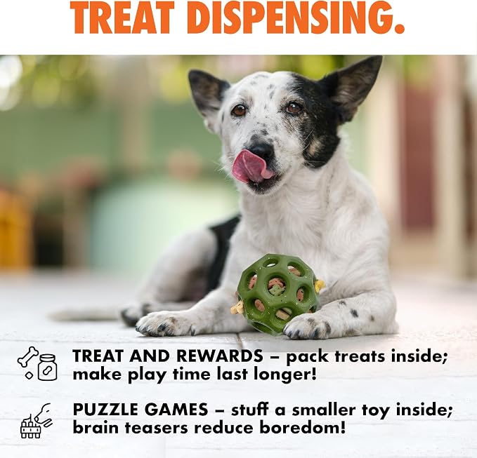 Max Fusion Made with Nike Grind, Arlee Helix Dog Toy, Ball Toys for for All Dogs, Durable & Natural Rubber Chew Toy for Play, Fetch & Chewing, Green, Medium, 1 Count