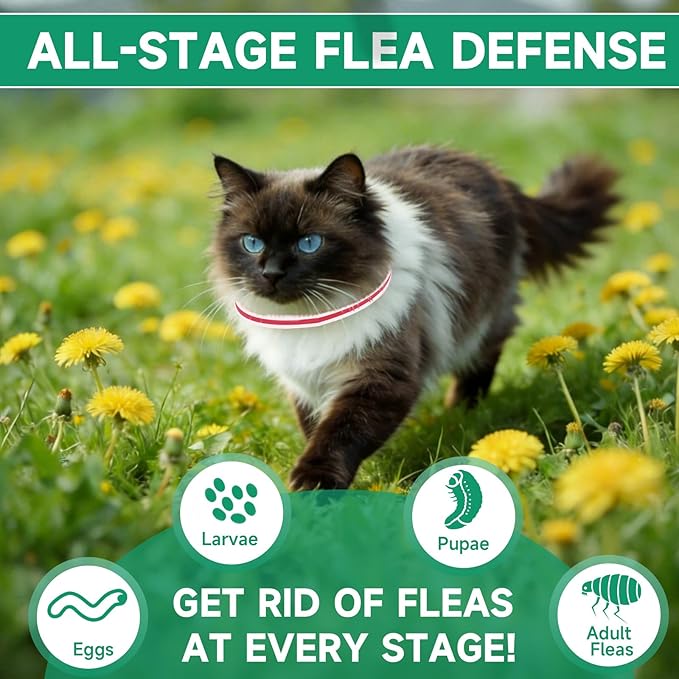 Flea Collar for Cats, 4 Pack Flea and Tick Prevention for Cats, 32 Months Cat Flea Treatment, Adjustable Cat Flea Collars, Waterproof Cat Flea and Tick Treatment Collar, Flea Treatment for Cat