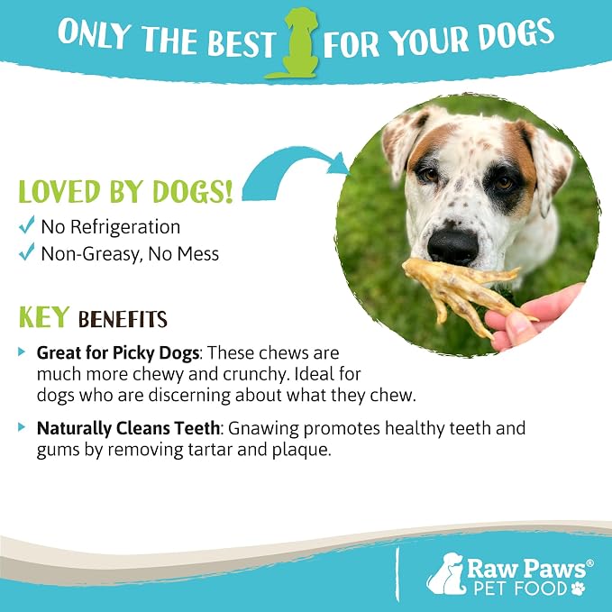 Raw Paws Freeze Dried Feet Chews Bundle - Freeze Dried Duck Feet for Dogs (10 Pack) & Chicken Feet Dog Treats (10 Pack) - Made in USA - Duck & Chicken Dog Treats - Single Ingredient Dog Chews
