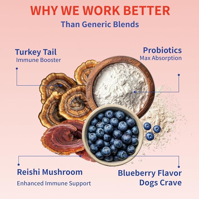 Fifth & Fido Turkey Tail Mushroom for Dogs - Lipoma Treatment for Dogs - Mushroom Supplement for Lumps & Bumps with Probiotics & Immune Support - Dog Food Topper Made in USA, 30 Servings (Blueberry)