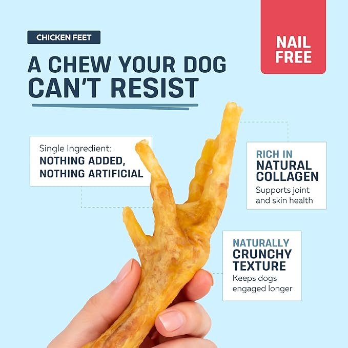 Big Lu – Nail-Free Chicken Feet Dog Chews, (100-Pack) | 100% Natural Single-Ingredient Treats, Rawhide-Free, Long-Lasting, Rich in Glucosamine and Chondroitin for Joint Health