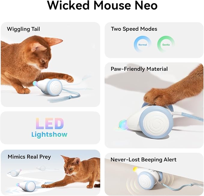 Cheerble Interactive Cat Toys for Indoor Cats, Automatic Moving Kitten Toys, Wicked Mouse Neo Cat Toy with Tail & Lights, Pet Cat Supplies, Rechargeable Cat Toys for Bored Indoor Adult Cats
