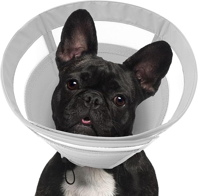 SAWMONG Soft Cone for Dogs – Medium Dog Recovery Collar, Adjustable E-Collar to Stop Licking After Surgery (M, Gray)