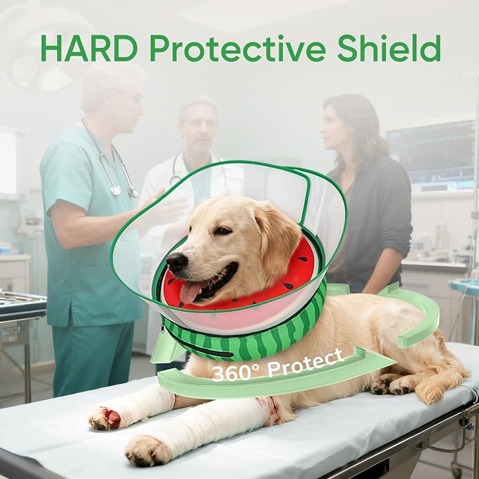 Supet Raised Inflatable Dog Cone After Surgery - Adjustable Recovery Donut Collar with Removable Shield to Stop Licking Wounds & Protect Stitches - Soft Dog Cone Alternative for Dogs (Watermelon,XXL)
