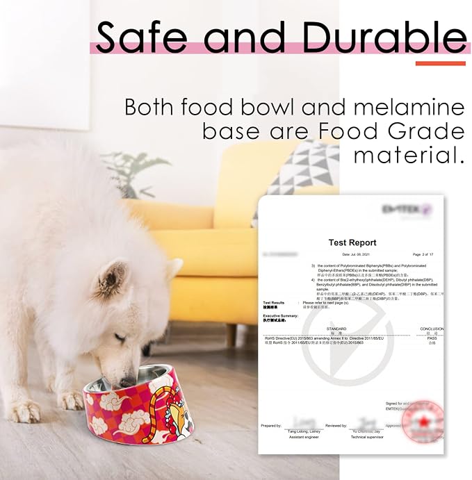 Super Design Mess Free 15° Slanted Bowl for Dogs and Cats, Tilted Angle Bulldog Bowl Pet Feeder, Non-Skid & Non-Spill, Easier to Reach Food